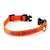 BLAZE ORANGE