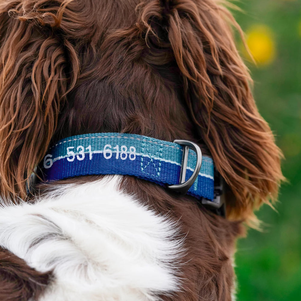 Orvis Dog Tough Trail® Collar 2.0