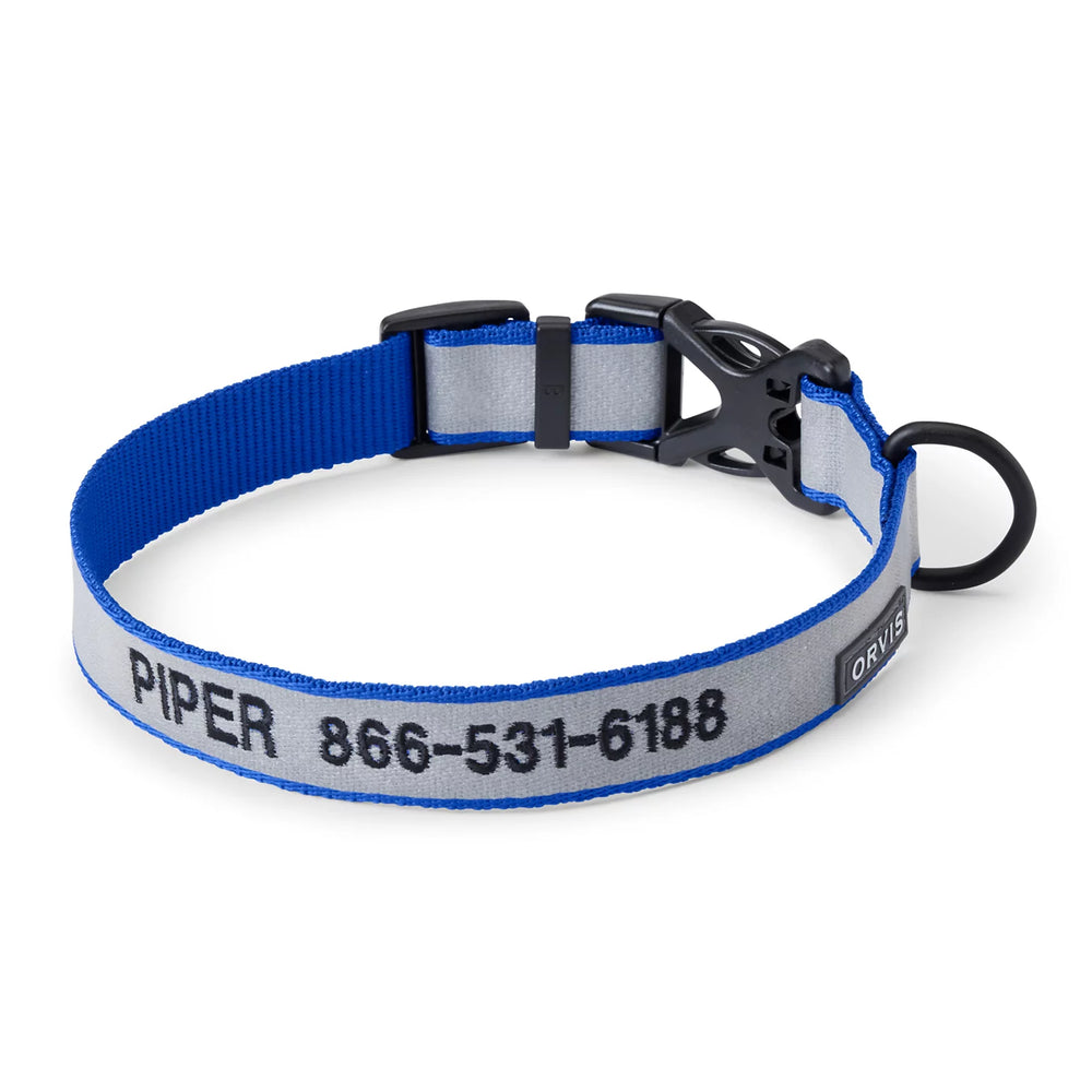 Orvis Dog Orvis Reflective Collar & Leash Bundle