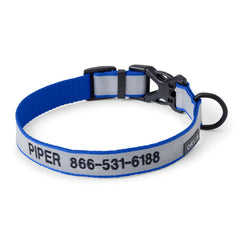 Orvis Dog Orvis Reflective Collar & Leash Bundle