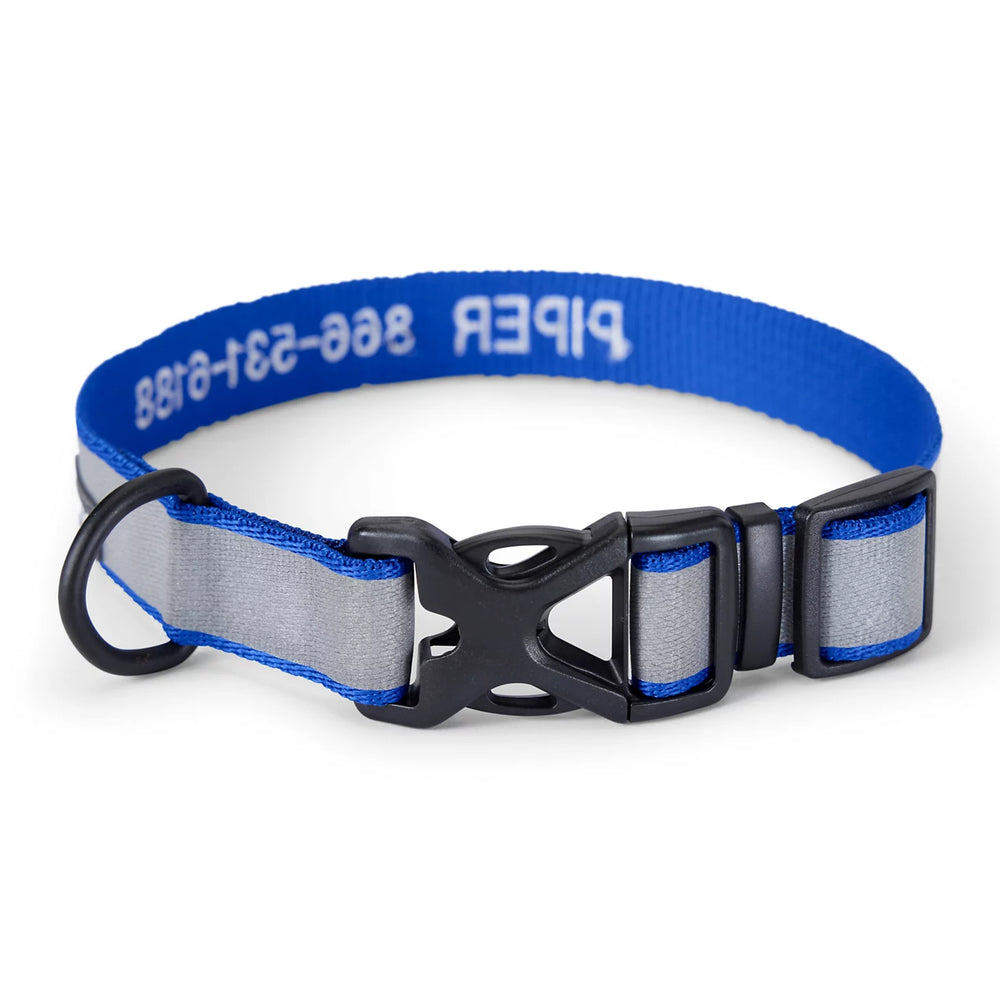 Orvis Dog Orvis Reflective Collar & Leash Bundle