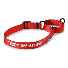 Orvis Dog Orvis Martingale Collar & Leash Bundle