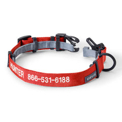 Orvis Dog Orvis Personalized Flea & Tick Compatible Dog Collar