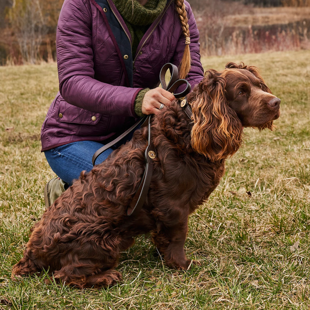 Orvis Dog Shotshell Dog Collar