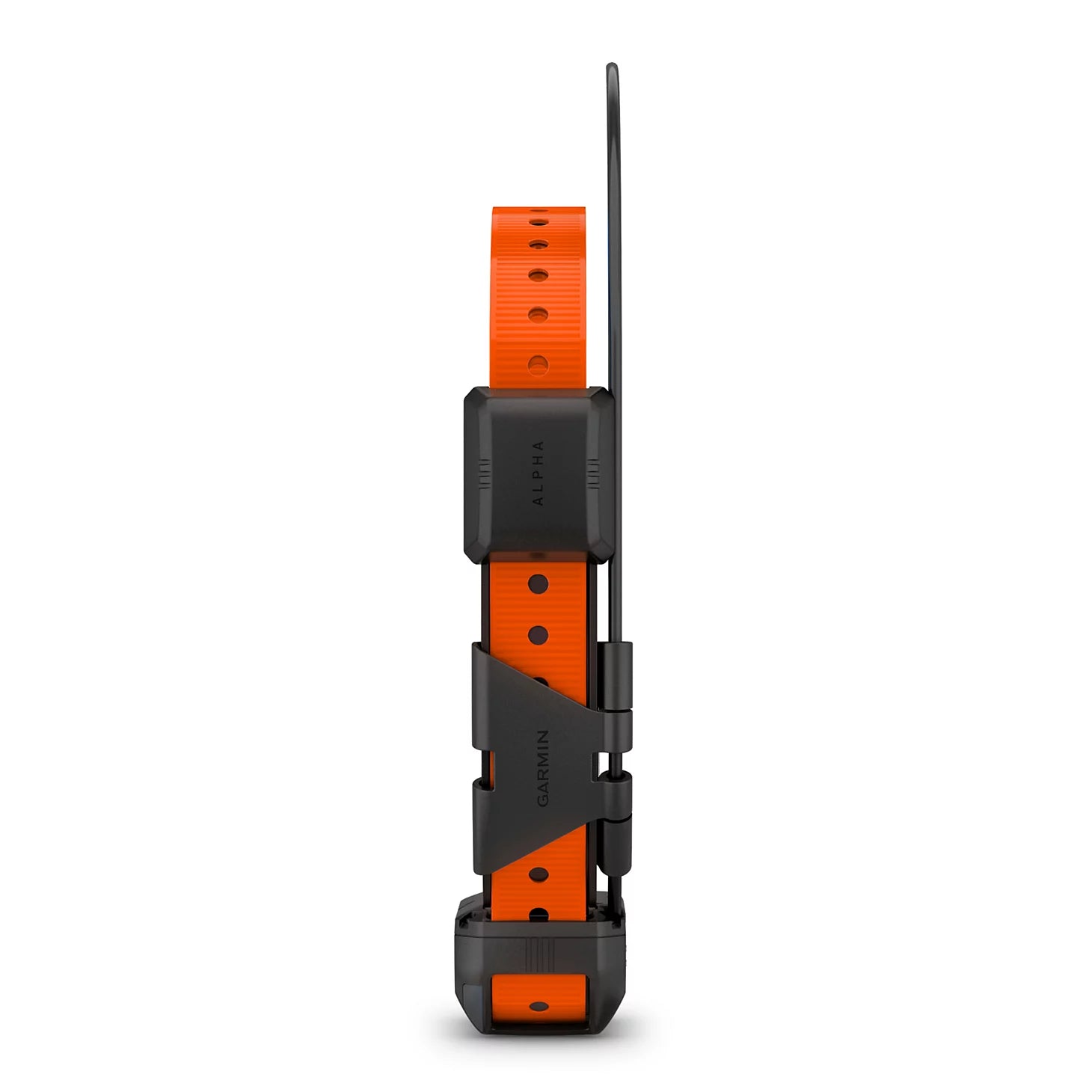 Orvis Dog|Hunt Garmin® Alpha® TT 25 GPS Dog Collar
