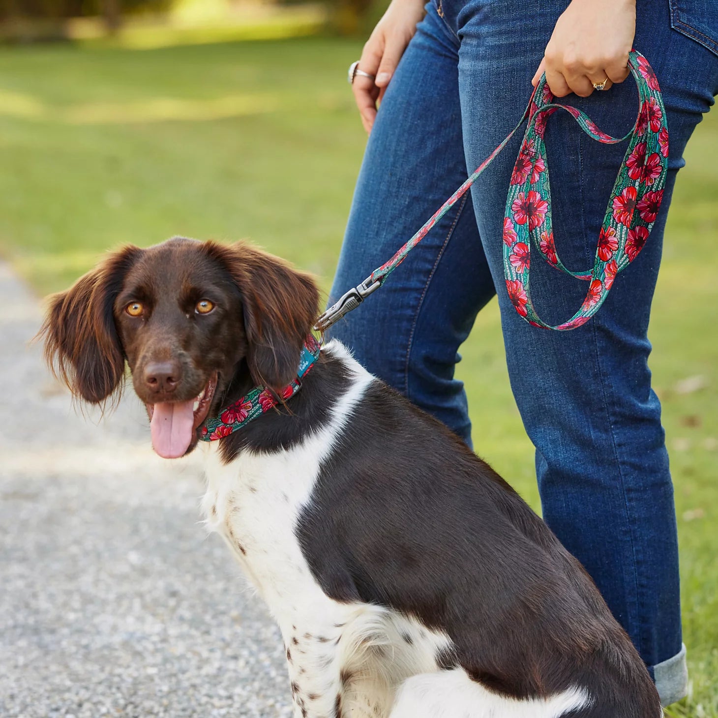 Orvis Dog Orvis x Fishe® Wear Collar