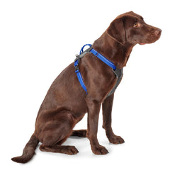 Orvis Dog Tough Trail® Four-Point Dog Harness