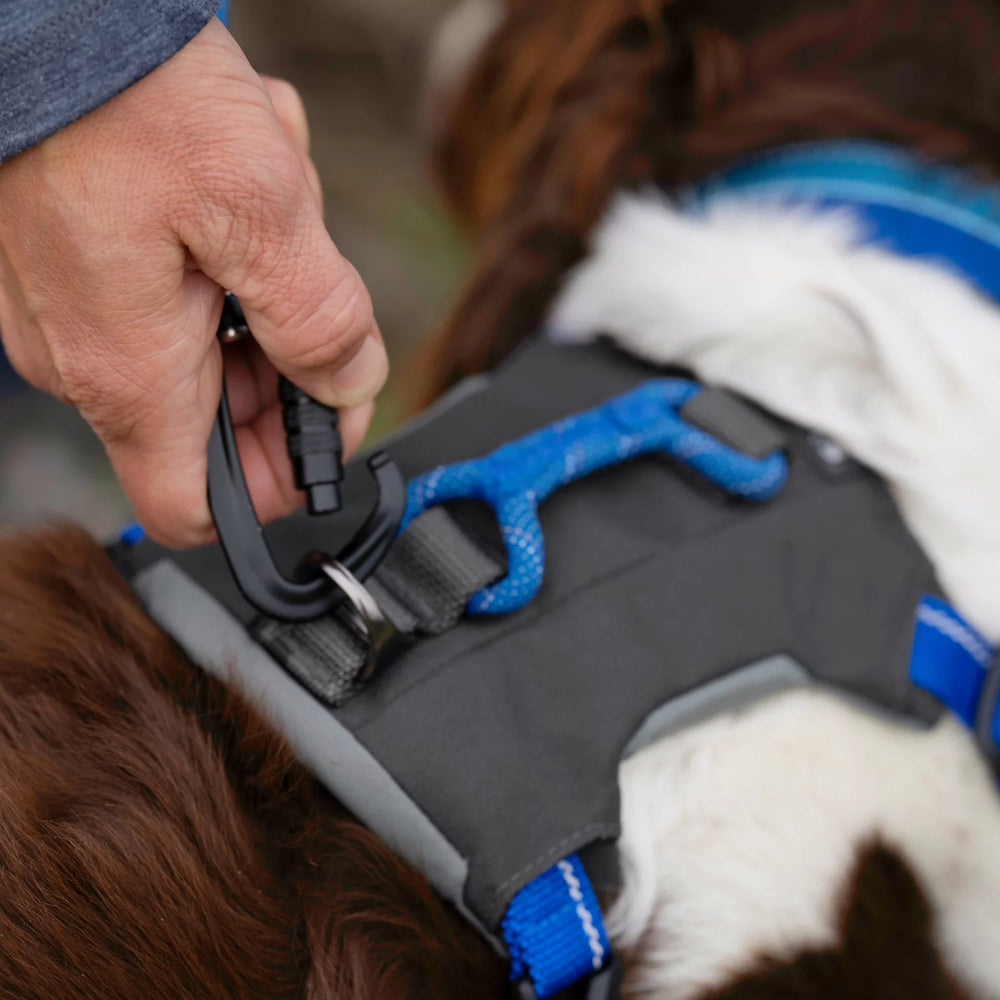 Orvis Dog Tough Trail® Four-Point Dog Harness