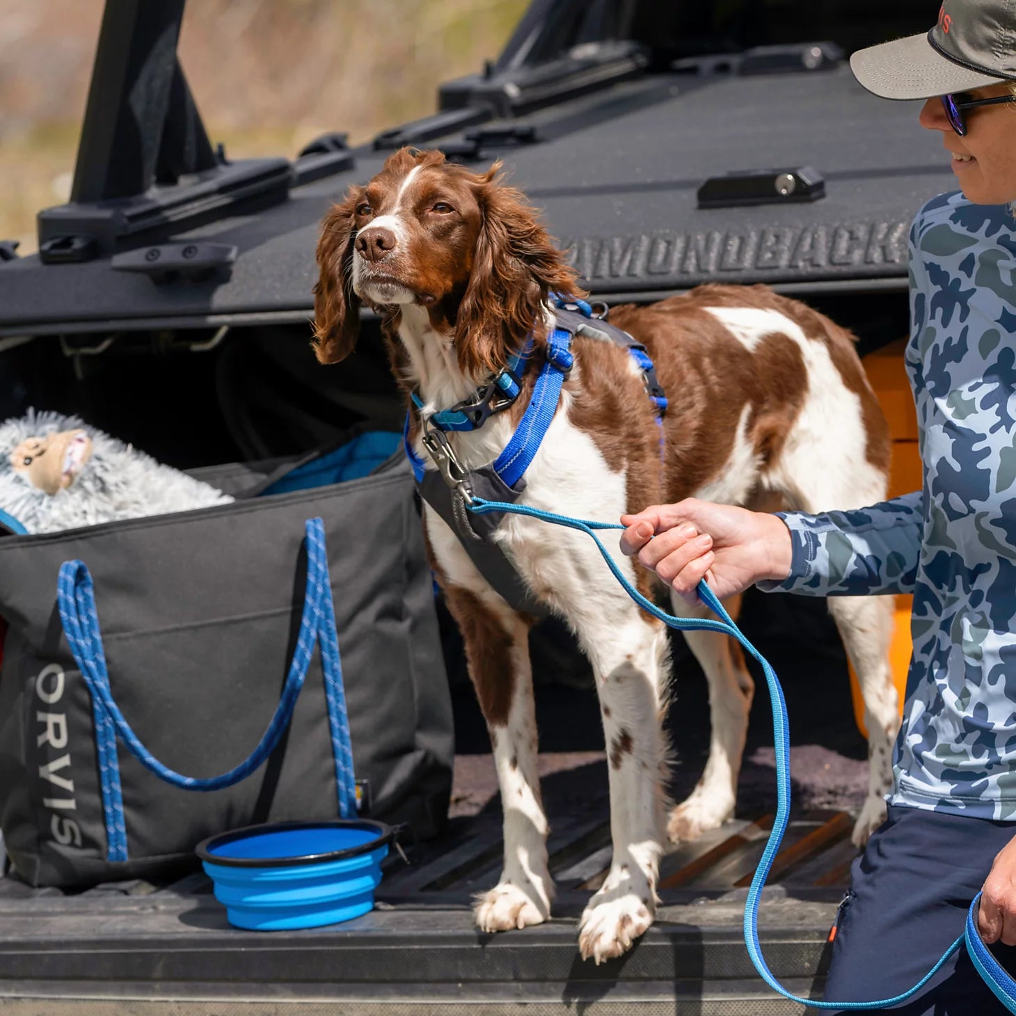 Orvis Dog Tough Trail® Four-Point Dog Harness