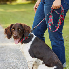 Orvis Dog Orvis x Fishe® Wear Dog Leash