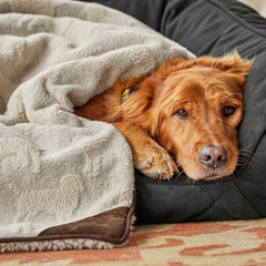Orvis Dog|Home Goods Embossed Sherpa Throw