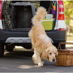 Orvis Dog|Hunt Ruff Land™ Performance Dog Kennel