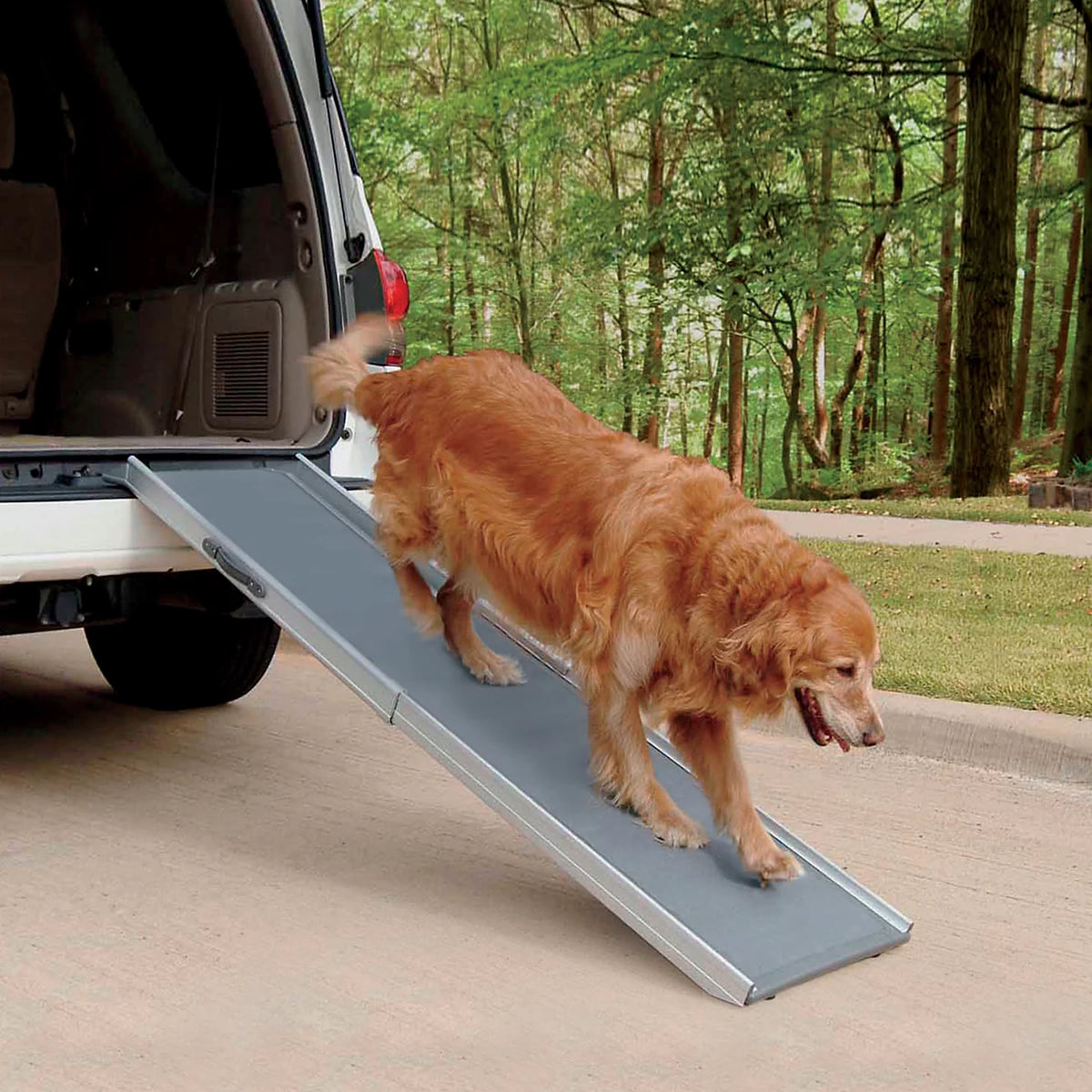 Orvis Dog Super-Lightweight Pet Ramps