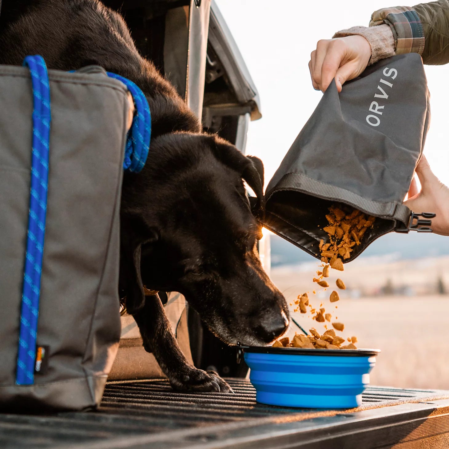 Orvis Dog|Packs & Bags Tough Trail® Dog Travel Tote Kit