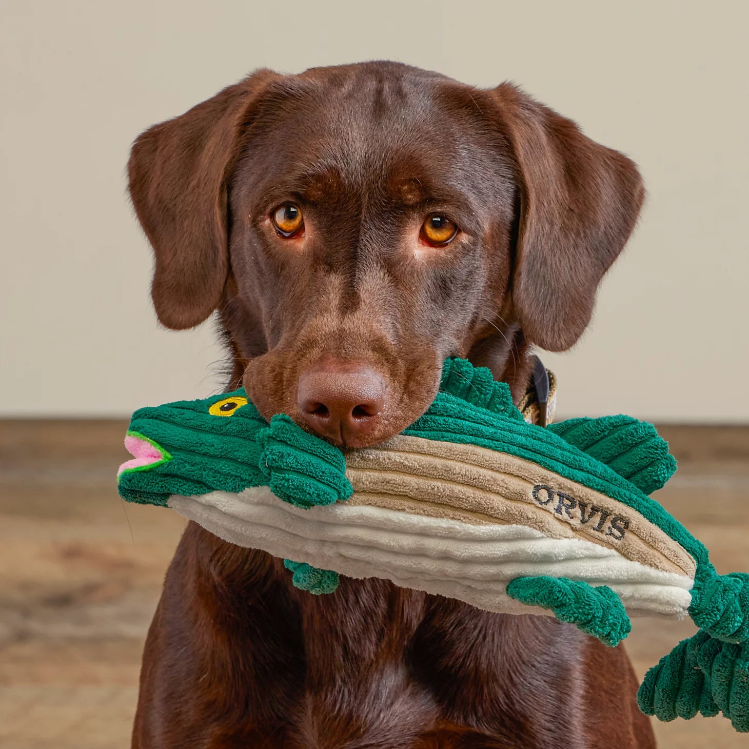 Orvis Dog Animal Squeaky Toys