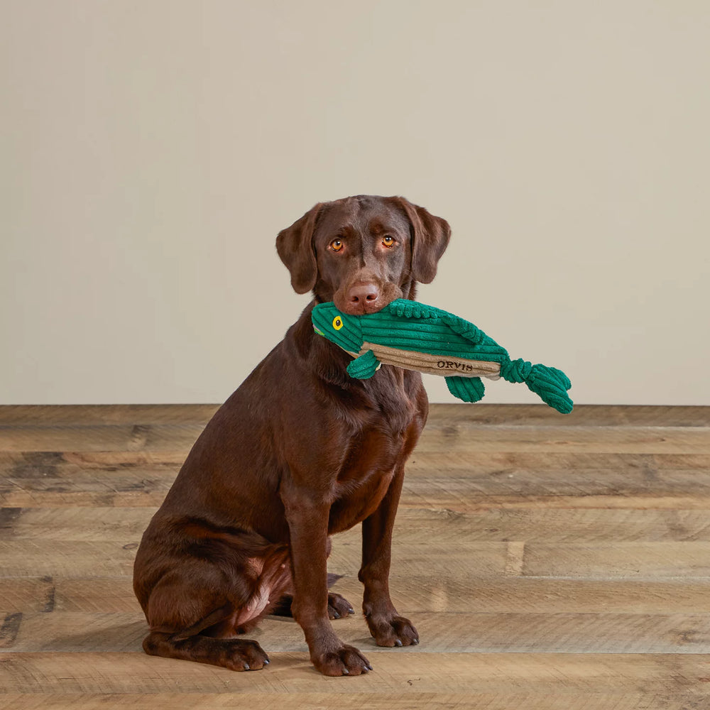 Orvis Dog Animal Squeaky Toys