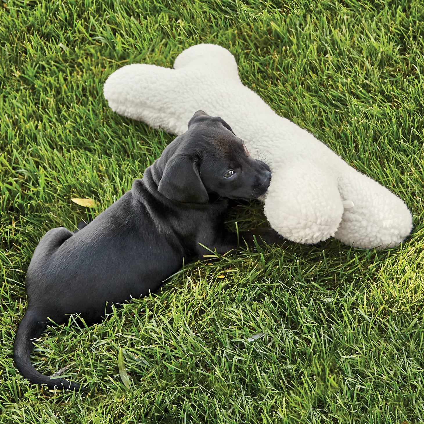 Orvis Dog Fleece Dog Bone