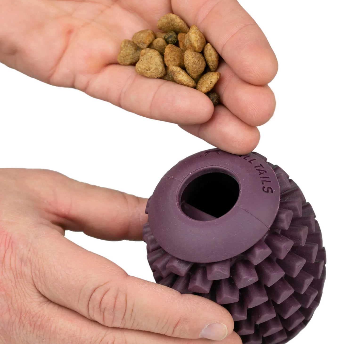 Orvis Dog Pinecone Reward Dog Toy