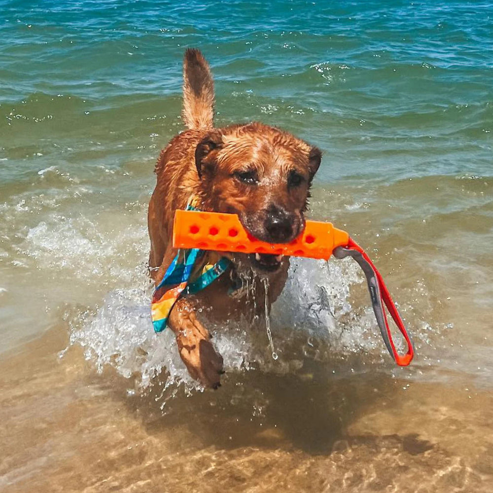 Orvis Dog|Hunt Hydro Floating Dog-Training Bumper