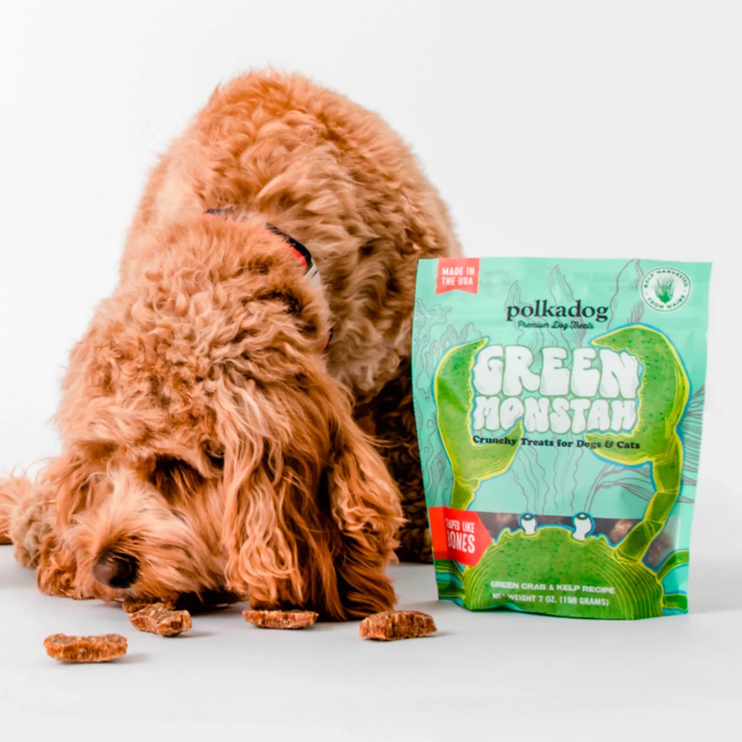 Orvis Dog Polkadog Green Monstah Bones