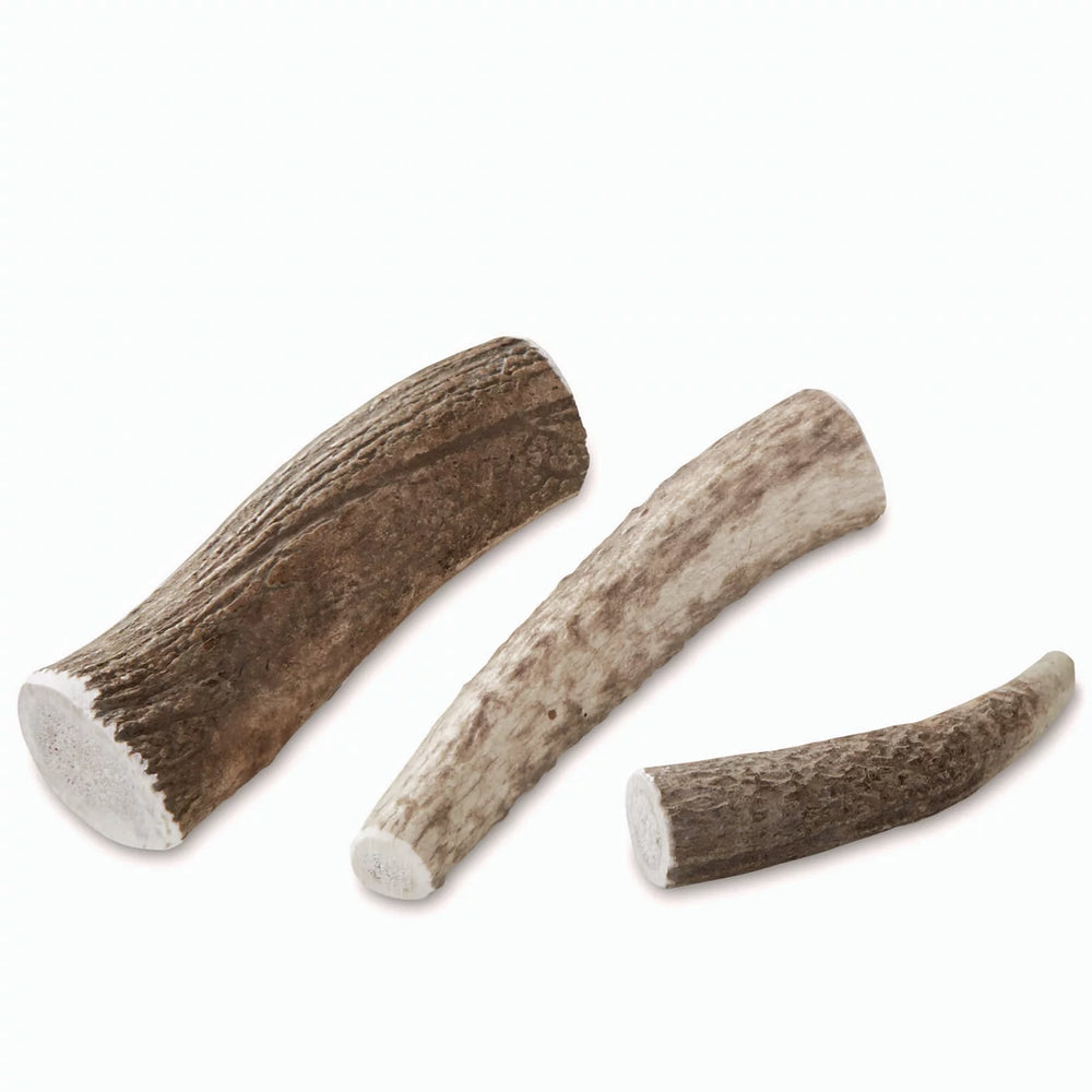 Orvis Dog Elk Antler Chews