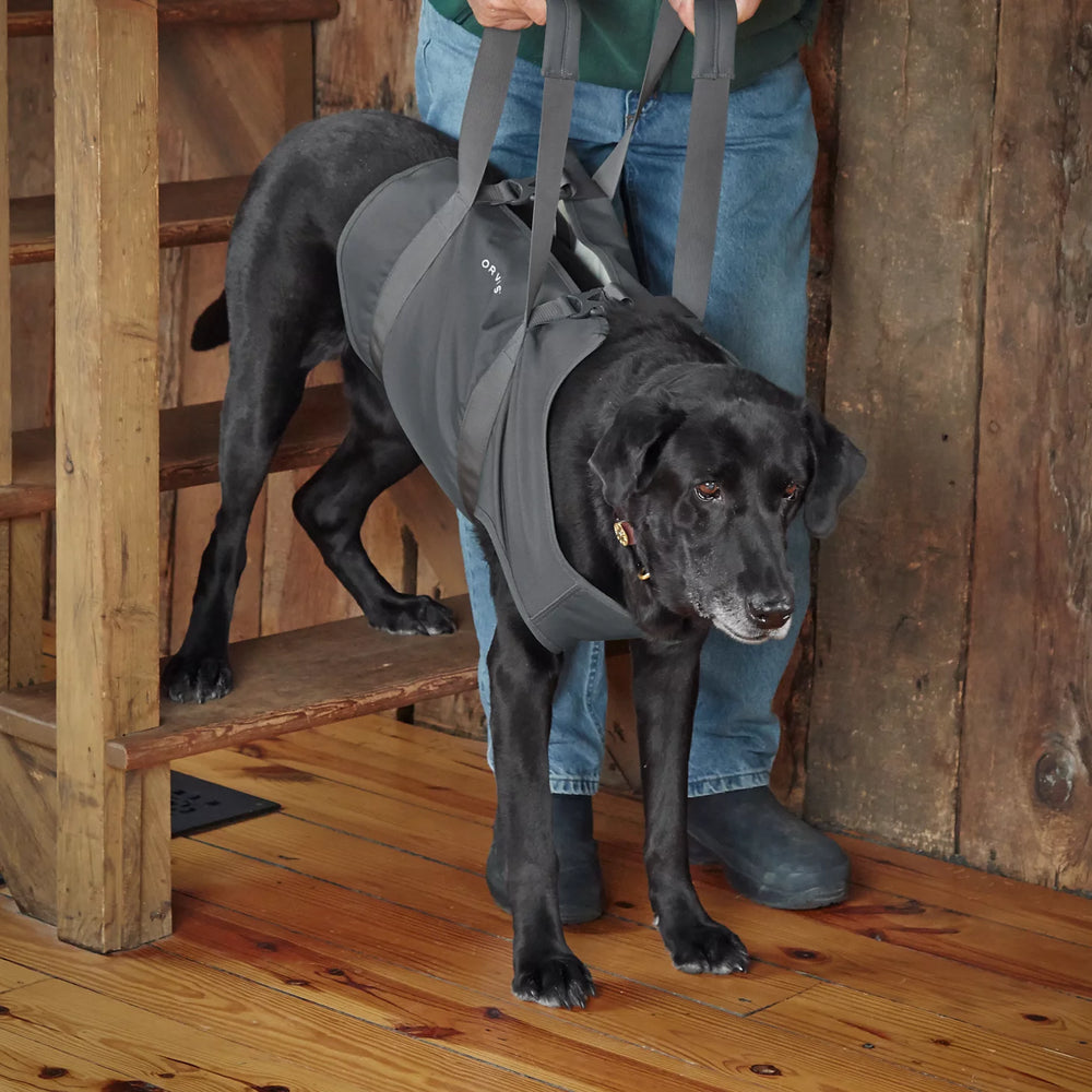 Orvis Dog Dog Lift
