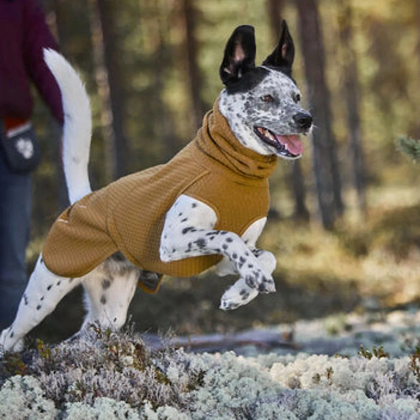 Orvis Dog Hurtta Warming Midlayer Eco Dog Jacket