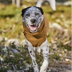 Orvis Dog Hurtta Warming Midlayer Eco Dog Jacket